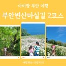 부안변산마실길 | 아이랑 부안여행｜부안 변산마실길 2코스 샤스타데이지 개화상태 송포항 주차장 정보