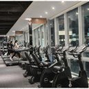 피트니스 엘 이미지