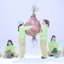 퀸스뮤직 이미지