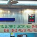 청도미나리돼지찌개 복현점