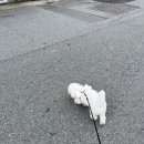 복현정형외과의원 이미지