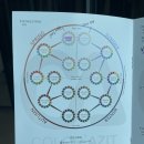 헤어아지트 | [청주 퍼스널컬러] 컬러아지트 내돈내산 방문 후기 &amp; 봄웜라이트 파운데이션,아이섀도우,블러셔,립 추천템