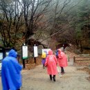 [추억]충청북도 보은 속리산국립공원( 2012년 11월 11일 ) 이미지