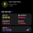 홈인치떡 | [습관 만들기/4주 도전] 대사증후군 비상에 기록하는 운동/식사일기 (13W)/ 게으른 다이어터를 위한...