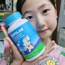 더 칼슘 랩 이미지