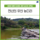 소두머니 용신놀이 | 생거진천 천년의 유산 농다리