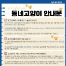 동네고양이 이미지