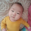 오복이랑 :: ~ D+155 * 빨간 내복의 그 남자, 2주만에 집으로 가는 길, 베리맘 모델 도전(!)