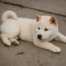 백순농장 이미지