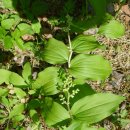 법수펜션 이미지