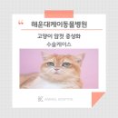 해운대 케이 동물병원 이미지