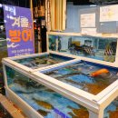 서대신동골목시장 | 서대신동 골목시장 조아수산 대신동 대방어 포장은 여기