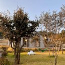 스테이제부 이미지