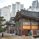 신덕8호 이미지