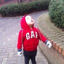 도연약국 이미지