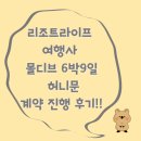 리조트라이프 여행사 몰디브 6박 9일 허니문 계약 진행 후기