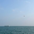 구름다리(버스정류장) | 부산 송도 요트투어 후기｜예약방법·코스 완벽 정리