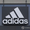아디다스예산스포츠