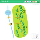 국립삼봉자연휴양림 야영장 이미지