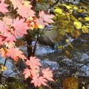 꿈꾸는 계곡펜션 이미지