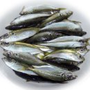 백록주유소 이미지