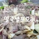 일죽셀프오리 | 이천호국원 인근 안성시 월정리 일죽셀프오리 가족 모임으로 오리주물럭과 로스구이 먹은 솔직후기