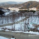 관리기로 제설작업하기 (새로운 발명의 기쁨^^) 이미지