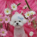 개운한날 이미지