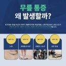 삼성마디탑정형외과의원 | 야탑역정형외과 무릎연골연화증 증상 및 치료법은?
