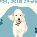 안녕, 상이 친구들! 이미지