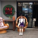 카페인민박 이미지