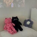 평촌역 동아프라자 | 안양 평촌역 범계역: 아이라빈 내돈내산 속눈썹펌 후기