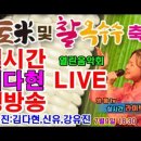 [220709] 문막 찰옥수수 축제 - 이창윤 일병 이미지