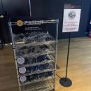 D15 | CGV인천 4DX 관람 후기 아바타3 D열 관람(D15,D16) 스크린 체감 크기