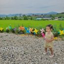 올쏘팜
