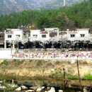 메아리 펜션 이미지