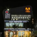타임즈 동물의료센터 이미지