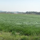 청원사료 이미지