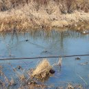 천일어린이집 놀이터 이미지