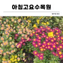 함께하는 | [경기/가평] 내돈내산 아이와 함께하는 아침고요수목원 국화전시회 후기