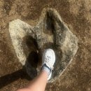 사과나무작은도서관 | 영국 (1) - 영국 길 한복판에서 박수 치면 안 되는 이유