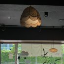 디저트카페제이 | [강동/고덕] 카페제이 - 말차디저트 일본 감성 카페 내돈내산 후기!
