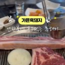 가윤흑돼지 이미지