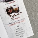 강아지 영양제 슬개골에 좋은 멍이장군 뼈튼튼 플러스