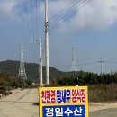 [정일수산] 대부도 제철 대하맛집 - 평일방문 , 부모님 함께 왔새우