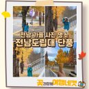 전남도립대학교 | 전남 가을 사진 명소 전남도립대학교 단풍