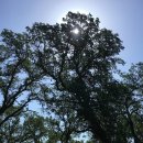 사계절순대국 이미지