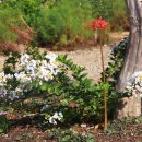 가야농장 이미지