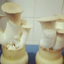 성무농장 이미지