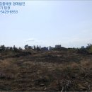 상모리-11 네이버블로그